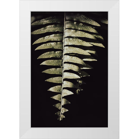 Fern Leaf White Modern Wood Framed Art Print by 1x Studio III