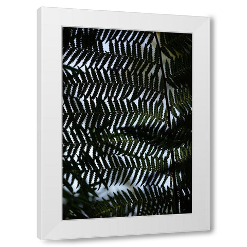 Fern Leaves_1 White Modern Wood Framed Art Print by 1x Studio III