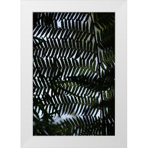 Fern Leaves_1 White Modern Wood Framed Art Print by 1x Studio III