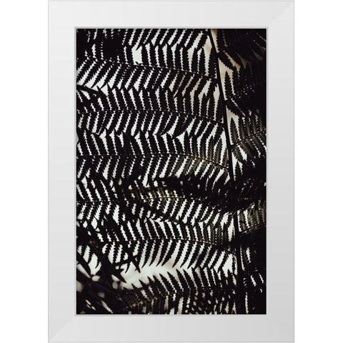 Fern Leaves_2 White Modern Wood Framed Art Print by 1x Studio III
