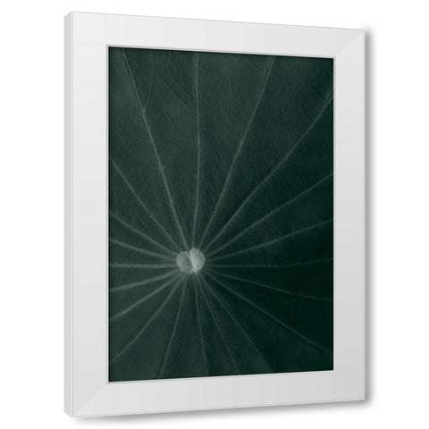 Dark green leaf White Modern Wood Framed Art Print by 1x Studio III