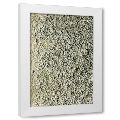 Moss White Modern Wood Framed Art Print by 1x Studio III