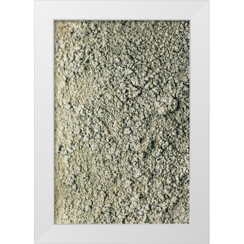 Moss White Modern Wood Framed Art Print by 1x Studio III