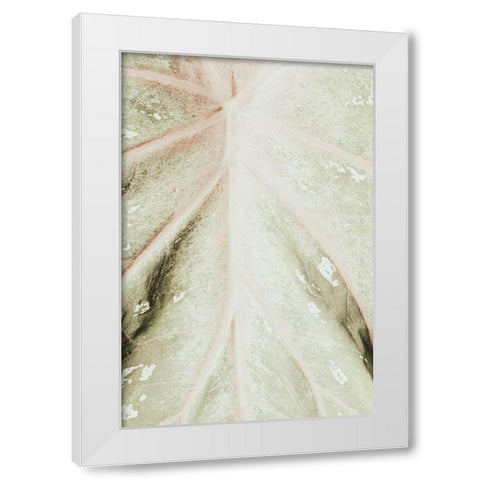 Light green leaf White Modern Wood Framed Art Print by 1x Studio III
