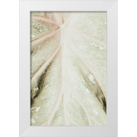 Light green leaf White Modern Wood Framed Art Print by 1x Studio III