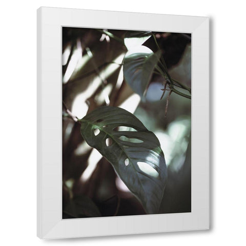 Monstrea Leaves Nature_1 White Modern Wood Framed Art Print by 1x Studio III