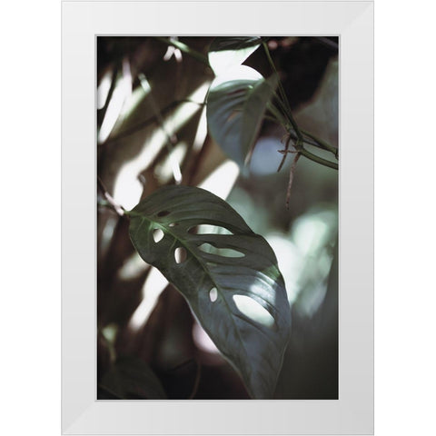 Monstrea Leaves Nature_1 White Modern Wood Framed Art Print by 1x Studio III