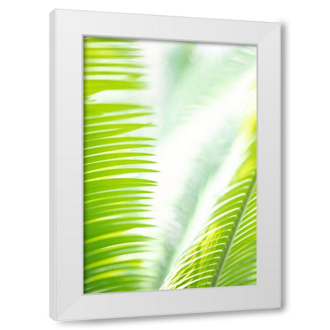 Light Palm tree leaves_1 White Modern Wood Framed Art Print by 1x Studio III