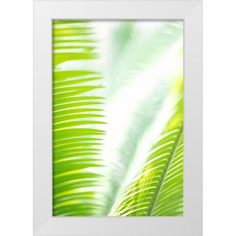 Light Palm tree leaves_1 White Modern Wood Framed Art Print by 1x Studio III