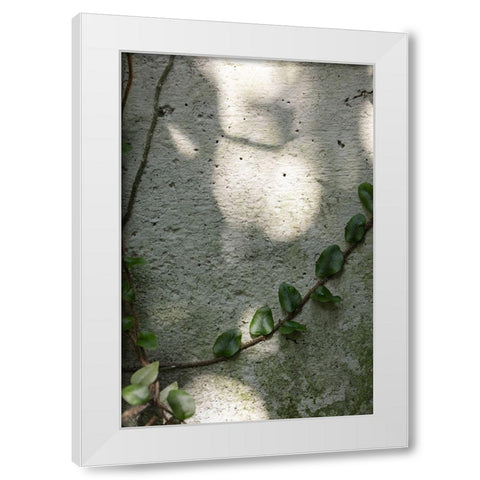 Wall-climbing plant White Modern Wood Framed Art Print by 1x Studio III