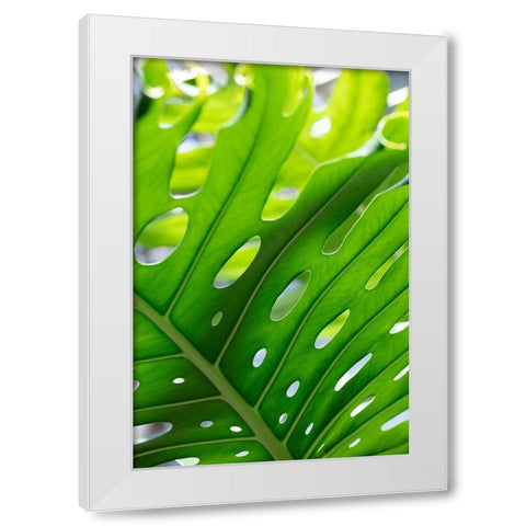 Graphic Leaf_1 White Modern Wood Framed Art Print by 1x Studio III
