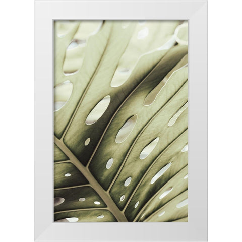 Graphic Leaf_2 White Modern Wood Framed Art Print by 1x Studio III