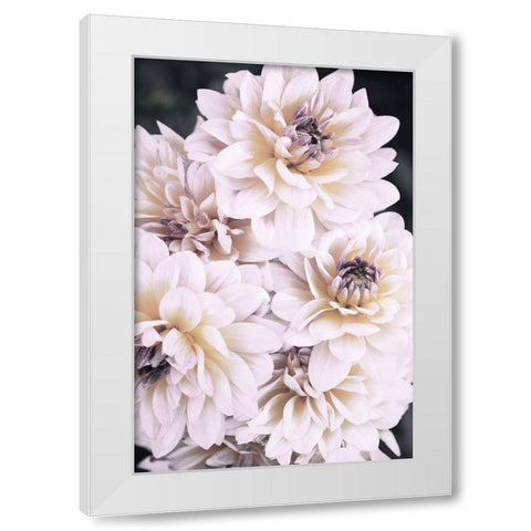 Pinkish Flowers White Modern Wood Framed Art Print by 1x Studio III