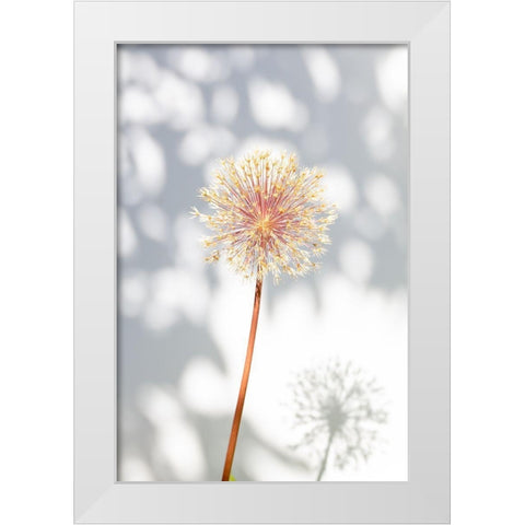 Withered flower-seed house_2 White Modern Wood Framed Art Print by 1x Studio III