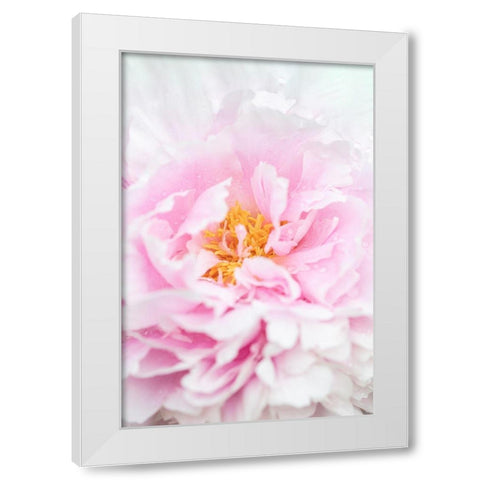 Peony_6 White Modern Wood Framed Art Print by 1x Studio III