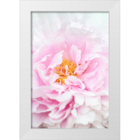 Peony_6 White Modern Wood Framed Art Print by 1x Studio III