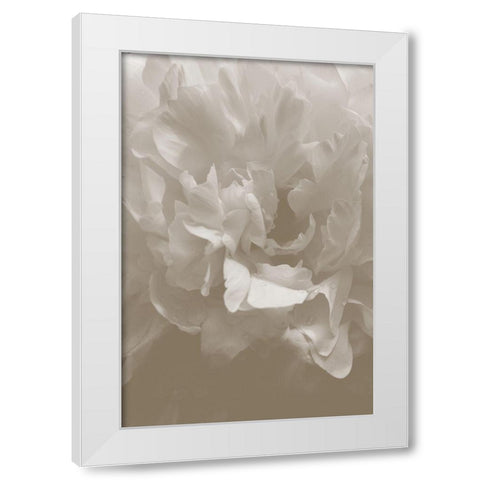 Peony_9 White Modern Wood Framed Art Print by 1x Studio III
