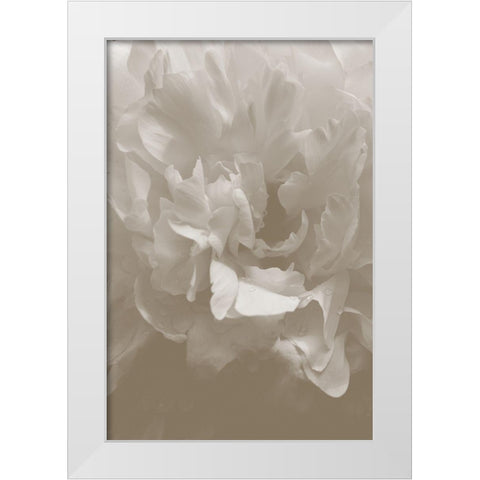 Peony_9 White Modern Wood Framed Art Print by 1x Studio III