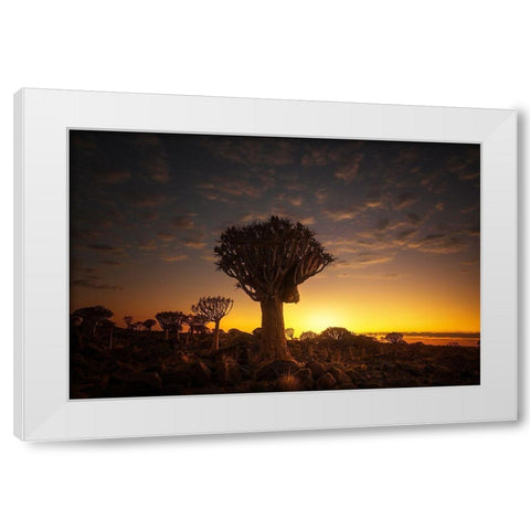 At Sunrise 7R45806 White Modern Wood Framed Art Print by Joanaduenas