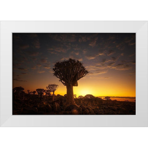 At Sunrise 7R45806 White Modern Wood Framed Art Print by Joanaduenas