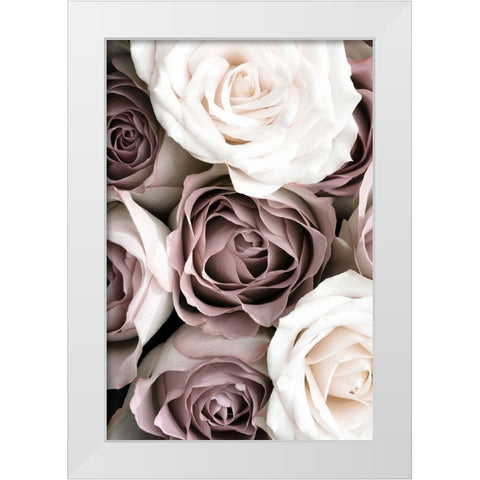 Roses White Modern Wood Framed Art Print by 1x Studio III