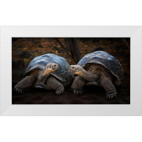 Connection White Modern Wood Framed Art Print by And Wei, Siyu