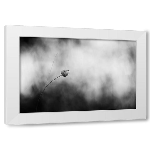 Flax After Flowering White Modern Wood Framed Art Print by Gronkjar, Lotte