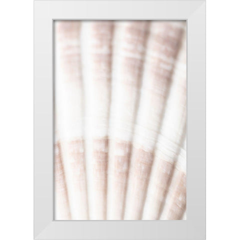 Shell_2 White Modern Wood Framed Art Print by 1x Studio III