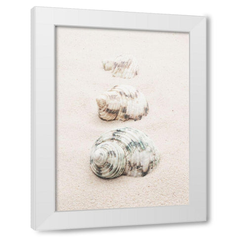 Shells White Modern Wood Framed Art Print by 1x Studio III