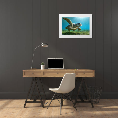 Green Turtle White Modern Wood Framed Art Print by Melesan, Serge