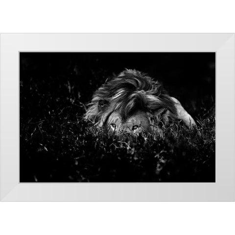 The Lion White Modern Wood Framed Art Print by Damico, Giuseppe