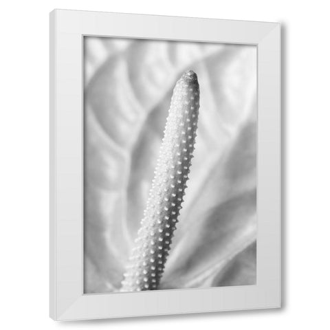 Flammingo Flower White Modern Wood Framed Art Print by 1x Studio III