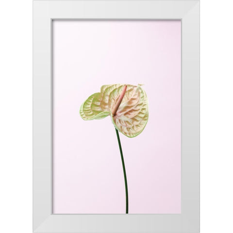 Flammingo Flower White Modern Wood Framed Art Print by 1x Studio III