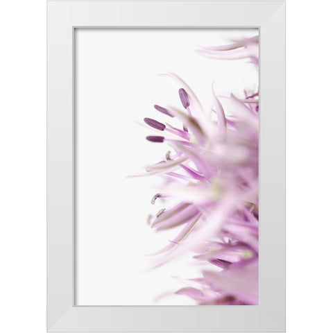 FLOWER PURPLE White Modern Wood Framed Art Print by 1x Studio III