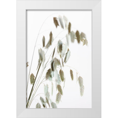 Dried Grass_Natural White Modern Wood Framed Art Print by 1x Studio III
