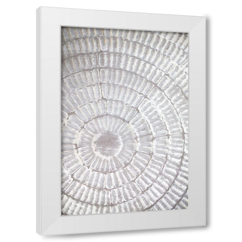 Patternplate_Grey_1 White Modern Wood Framed Art Print by 1x Studio III