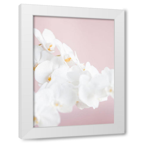 Orchid_1 White Modern Wood Framed Art Print by 1x Studio III