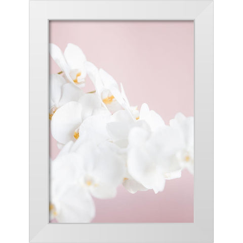 Orchid_1 White Modern Wood Framed Art Print by 1x Studio III