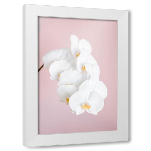 Orchid_2 White Modern Wood Framed Art Print by 1x Studio III