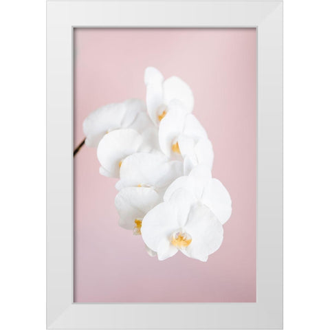 Orchid_2 White Modern Wood Framed Art Print by 1x Studio III