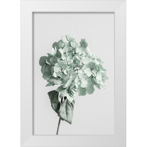 Green dried flower White Modern Wood Framed Art Print by 1x Studio III