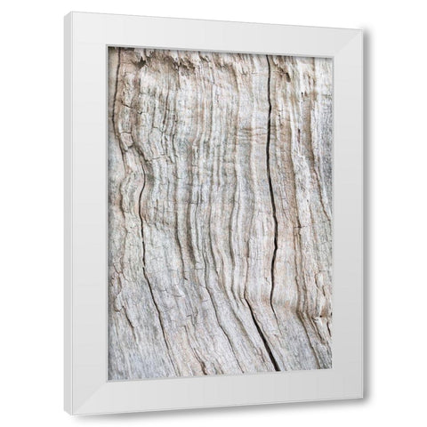 Wood Pattern White Modern Wood Framed Art Print by 1x Studio III
