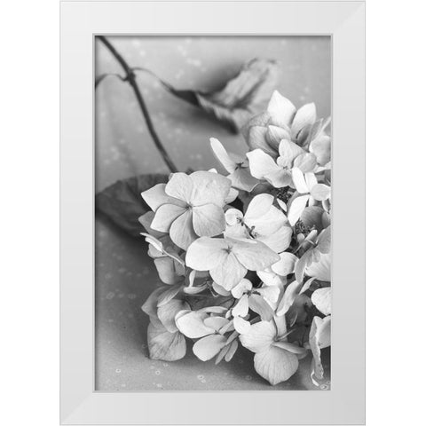 Dried Flowe ron Plate_black a white White Modern Wood Framed Art Print by 1x Studio III