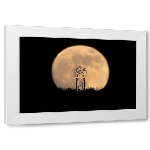 Look at the moon! White Modern Wood Framed Art Print by Bar Or, Eyal