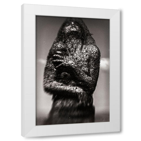 Cocoon White Modern Wood Framed Art Print by Bousca, Bogdan