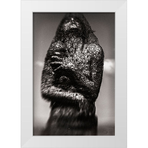 Cocoon White Modern Wood Framed Art Print by Bousca, Bogdan