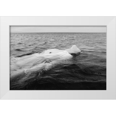 Ebb Tide White Modern Wood Framed Art Print by Ishikura, Takaaki