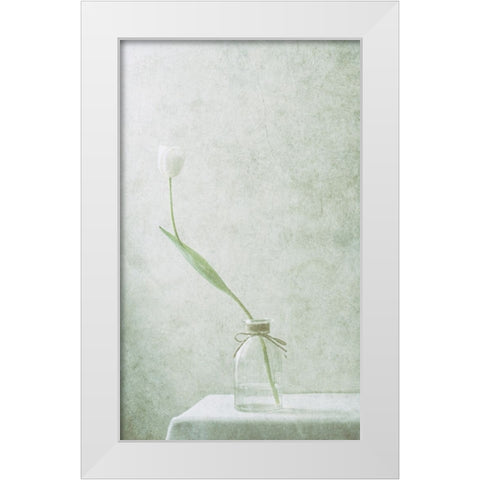 Ephemeral White (2) White Modern Wood Framed Art Print by Devos, Delphine