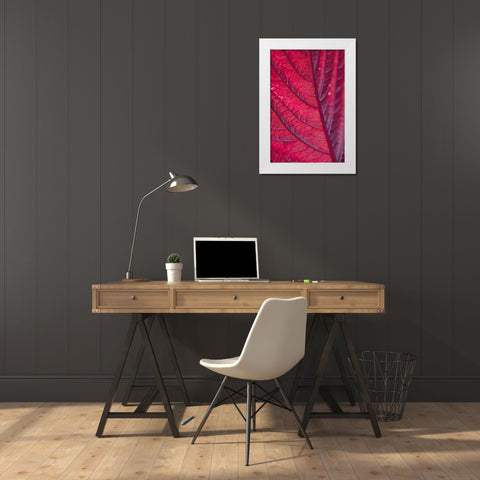 Red Leaf White Modern Wood Framed Art Print by 1x Studio III