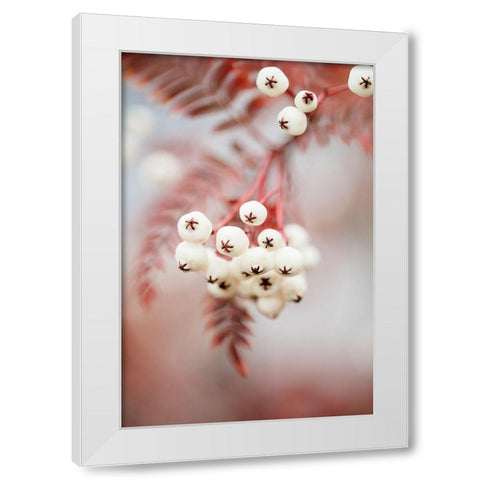 Berries on a twig White Modern Wood Framed Art Print by 1x Studio III